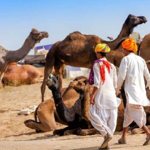 Pushkar Camel Fair