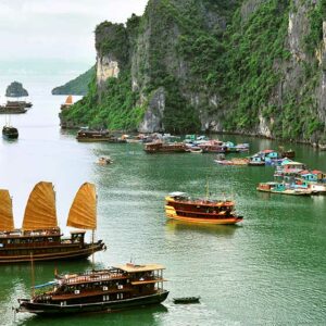 Vietnam-Tourist-Junks-in-Halong-Bay